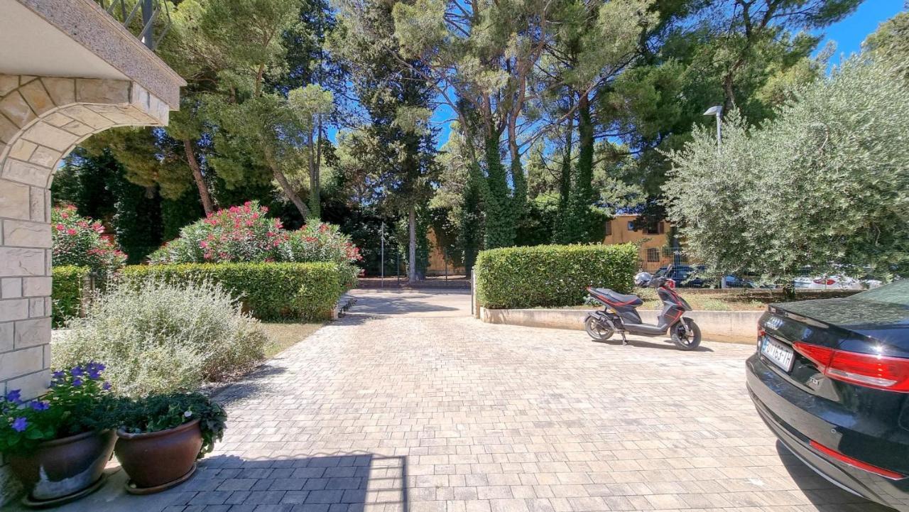 Ena Apartment Novigrad  ภายนอก รูปภาพ